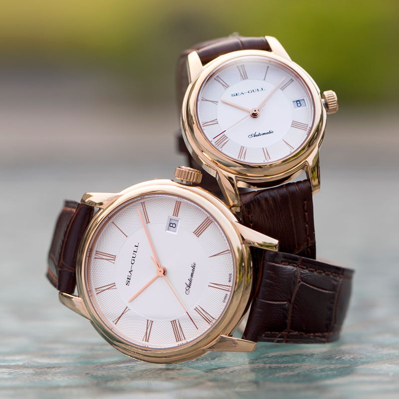 Seagull Men's Mechanical Watch - огляд і ціна Seiko Watch Presage