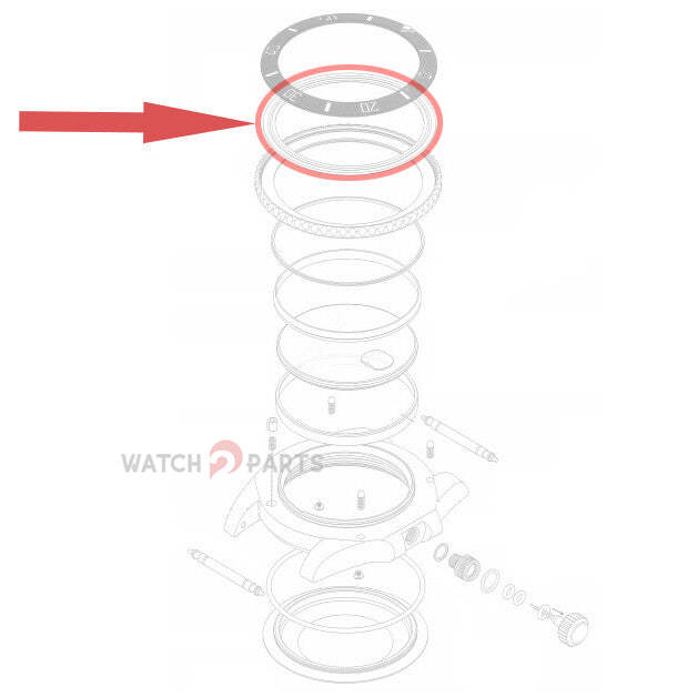 Retaing Steel Bezel Insert Ten - огляд і ціна Rolex Watch Submariner