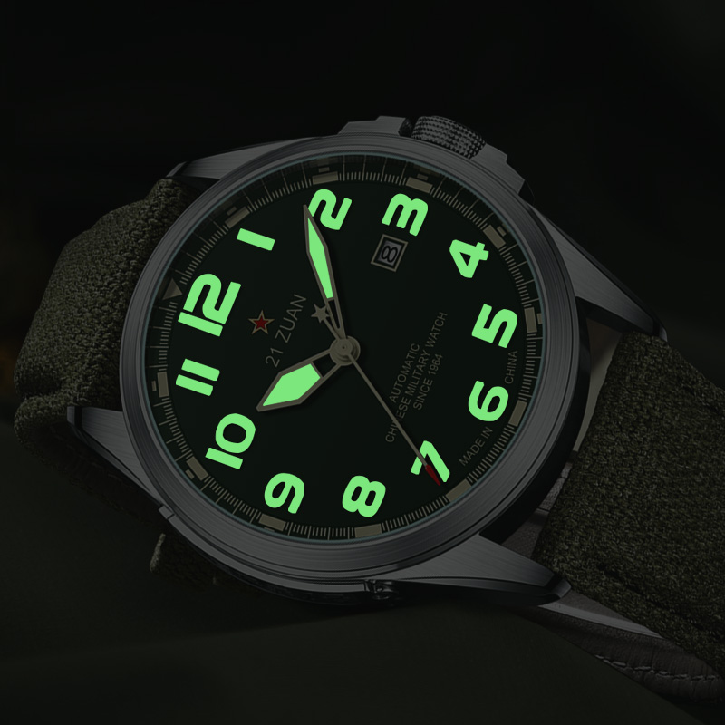 Seagull D581 Men's Automatic M - огляд і ціна Seiko Watch Presage