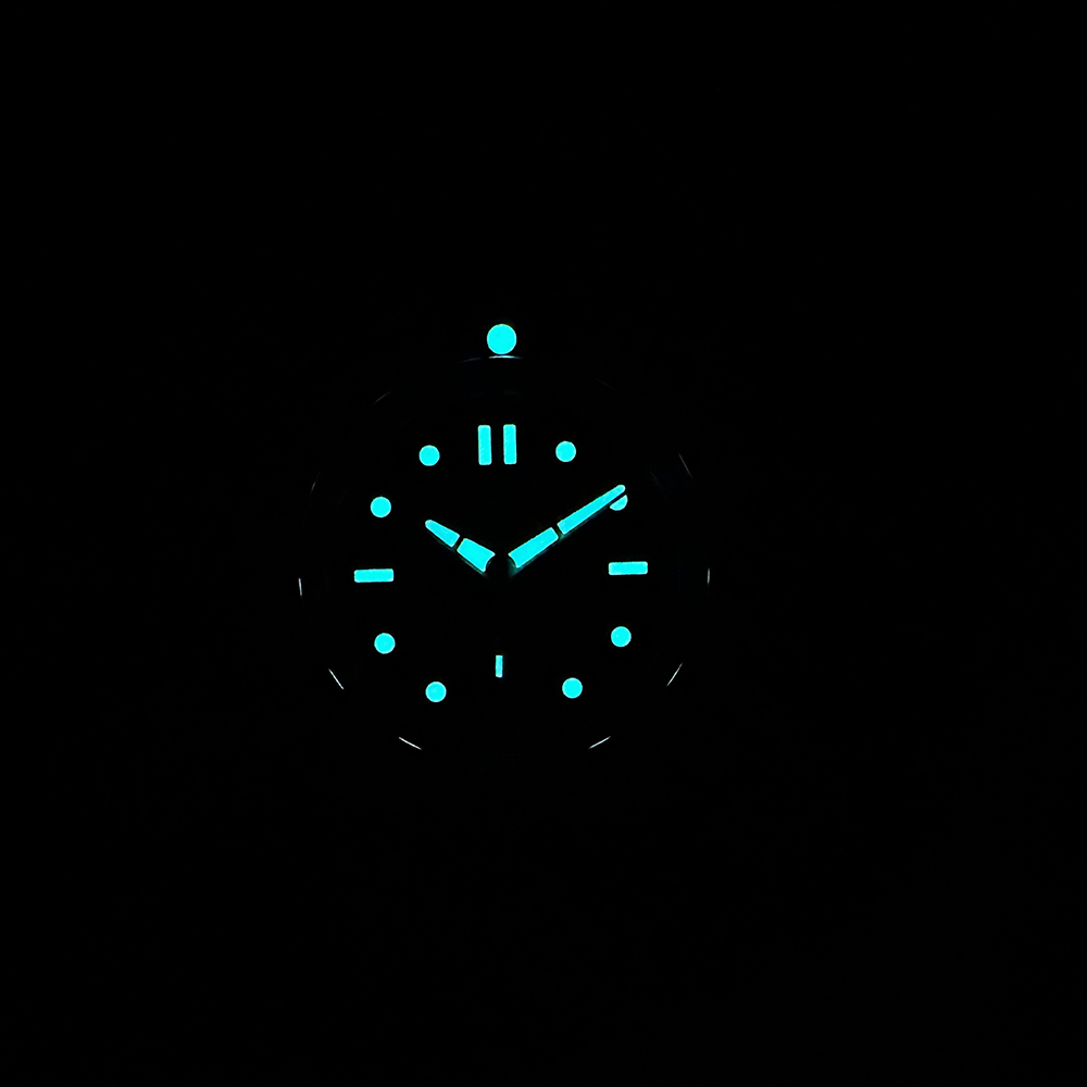 STEELDIVE Official New In SD19 - огляд і ціна Seiko Watch Prospex